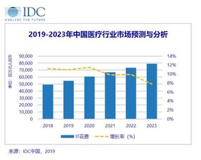 中国医疗行业互联网技术市场预测报告 互联网技术服务的崛起与未来展望